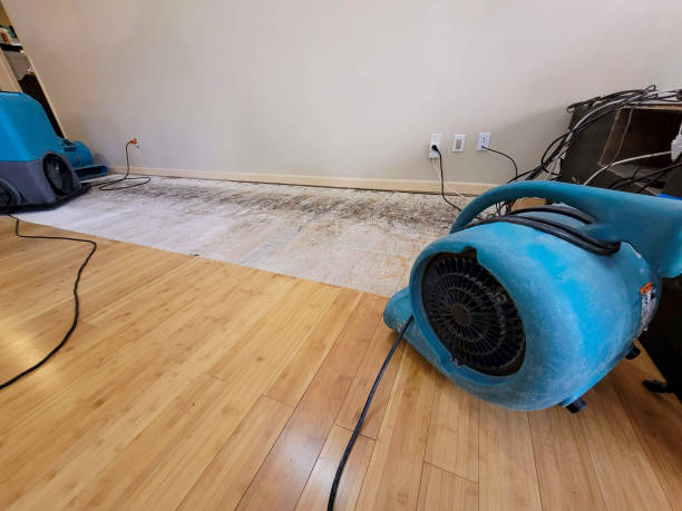 Professional Burst Pipe Water Damage technician working in Pulaski, PA